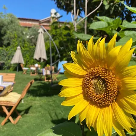 Lemon-ada Butik * Kusadasi