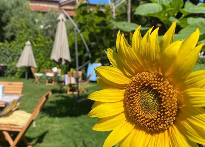 Lemon-ada Butik * Kusadasi